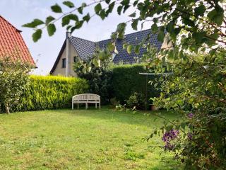 Am Küstenwald - Wustrow - 6