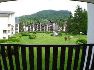 2 pièces cabine lumineux, proche centre Samoëns, animaux acceptés, parking, balcon - FR-1-629-22 - Samoëns - 2