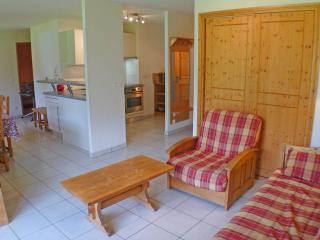 Appartement Vaste 3 Pièces + Cabine, Proche Remontées Mécaniques, Lac et Piscine - Résidence le Pas au Loup - FR-1-629-4 - Samoëns - 0