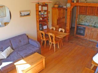 Appartement 3 pièces avec parking et vue montagne à Samoëns - FR-1-629-52 - Samoëns - 9