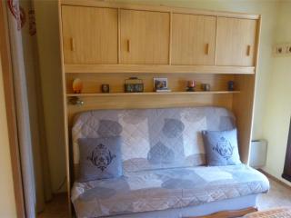 Studio au centre du village de Samoëns, avec balcon, proche ski-bus, animaux acceptés - FR-1-629-56 - Samoëns - 8