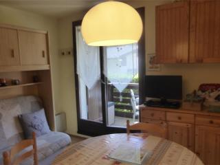 Studio au centre du village de Samoëns, avec balcon, proche ski-bus, animaux acceptés - FR-1-629-56 - Samoëns - 6