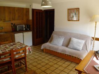 T2 au calme, proche centre village - Terrasse et parking - FR-1-629-16 - Samoëns - 8