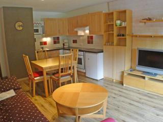 Studio confortable face aux télécabines, proche loisirs avec parking et animaux admis à Samoëns - FR-1-629-54 - Samoëns - 9