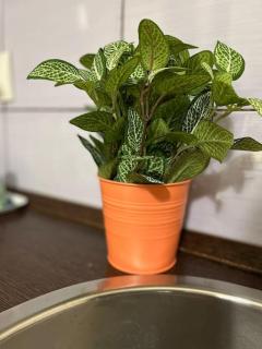 A3 Parliament Sunflower Cozy Apartment - Budapest - 6