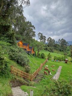 Glamping El Reencuentro - Machachi - 6