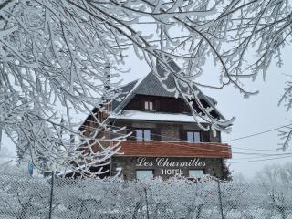 Hôtel Les Charmilles - Besse-et-Saint-Anastaise - 9