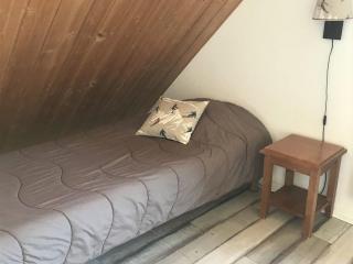 Chalet 3 pièces pour 7 personnes avec parking et animaux admis - FR-1-504-75 - Le Dévoluy - 3