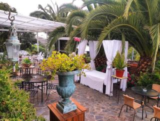 A Hotel Boutique Pelluhue - 3
