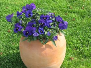 De Lux Apartments Kosta Center - Ohrid - 1