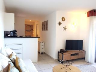 Frejus Plage Le Capitole T2 35m2 Climatise balcon - Fréjus - 5
