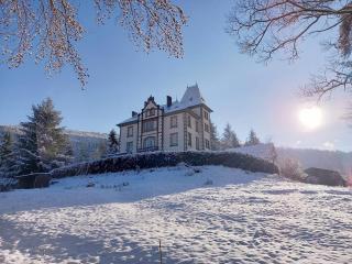 Château Robert - Raon-lʼÉtape - 4