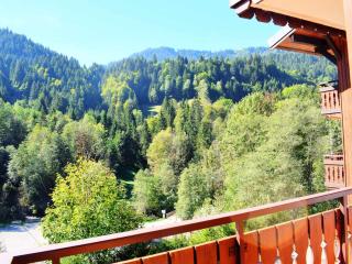 Appartement cosy au pied du téléphérique de Nyon, balcon, parking, animaux admis - FR-1-524-19 - 6