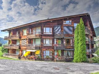 Appartement rénové, skis aux pieds, proche centre avec parking et balcon - FR-1-524-30 - Morzine - 1