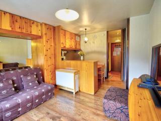 Charmant studio à deux pas du centre de Morzine, équipements complets pour 4 personnes - FR-1-524-85 - Morzine - 9