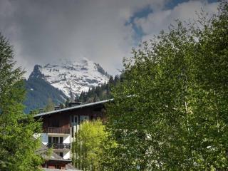 Duplex studio près du centre de Morzine, 6 pers., balcon, garage, proche remontées et navettes gratuites - FR-1-524-39 - Morzine - 2