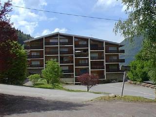 Appartement cosy 2 pièces proche du centre, avec balcon et casier ski - FR-1-524-58 - Morzine - 5
