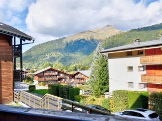 Studio rénové à Morzine, proche centre, balcon, bien équipé, pour 4 pers., navettes gratuites - FR-1-524-66 - Morzine - 7