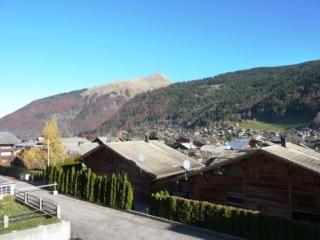 Appartement cosy 6 pers. proche pistes avec parking privé - FR-1-524-72 - Morzine - 3