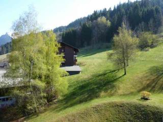 Appartement Idéal au Pied du Pleney pour 4/5 Personnes, à 800m du Centre de Morzine - FR-1-524-94 - Morzine - 1