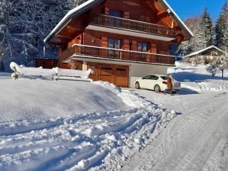 Chalet calme avec cheminée, 4 chambres, idéal famille - FR-1-692-21 - 4