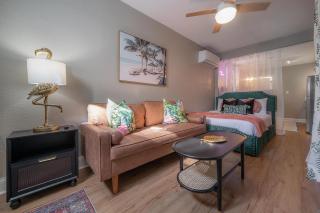 Stylish Updated Studio in Tampa - Hyde Park & UT - Tampa - 0