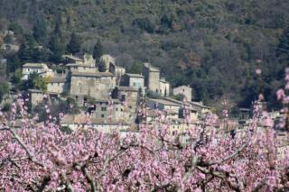 gite les Lavandes - Soyons - 2