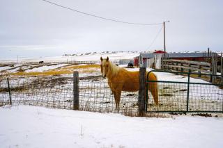 Charming Corral Creek Ranch House in Circle - 9