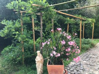 Au Pain des Anges - 6