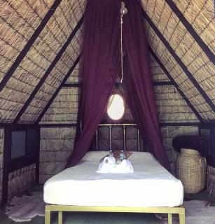 Glamping En Green Hills Mansion Malinalco - 6