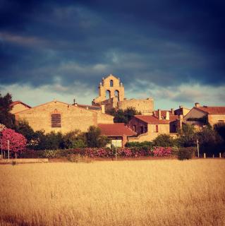 Mas Peu Del Causse - Thuir - 7