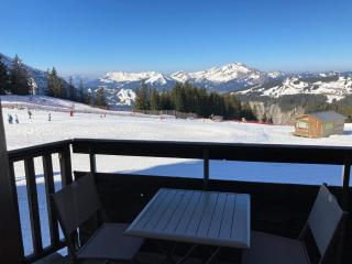 Charmant 2 pièces rénové pour 4 pers, skis aux pieds - 9