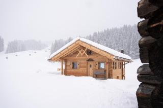 Chalet Silvesterhütte - 0