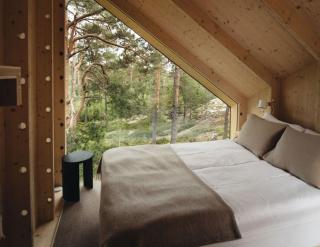 Hilltop Forest - Inkoo - 1