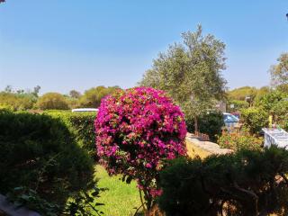 Casa di Giò - Bilocale con giardino - Porto Pollo - 3