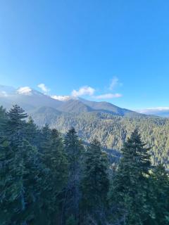 Bansko Royal Towers apartment 200m from skilift - Bansko - 2