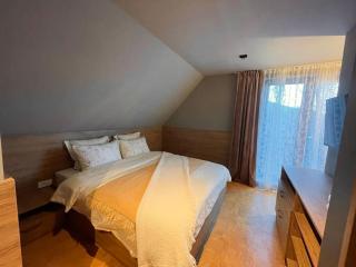 Villa Brezovica near skiing center - 3