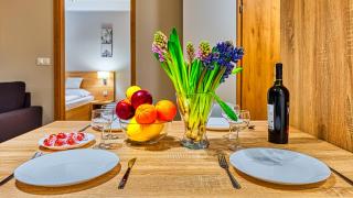 Apartament 47 blisko Norweskiej Polany - 5D Apartments - Szklarska Poręba - 8