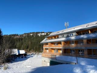 Wiesenquell Apartment Feldberg - Feldberg - 5