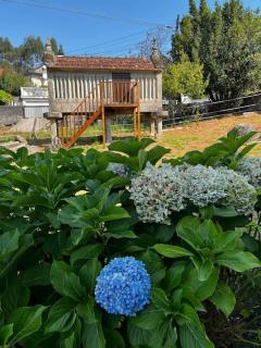 Agradable casa rural entre Pontevedra y Arcade - Pontevedra - 9