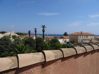 Appartement climatisé 2 pièces avec solarium pour 4 personnes, parking privé, proche plage - FR-1-335-166 - Hyères - 3