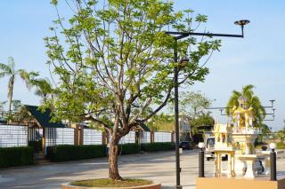 IP Plus Resort - Chanthaburi - Chanthaburi - 5