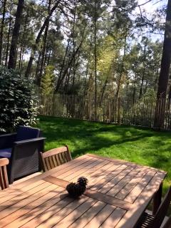 Un Nid dans la Pinède - 9