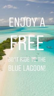 Bay of Plenty Nature Lodge - 6