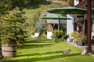Landhotel Spreitzhofer - Sankt Kathrein am Offenegg - 3