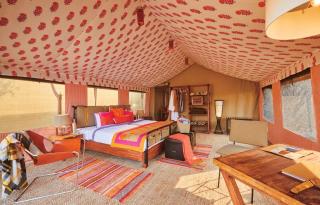The Untamed Bandhavgarh by TUTC - 8