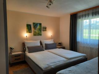 Ferienwohnungen Wimmer - Bischofshofen - 1