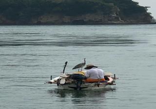 Guesthouse Yadokari - Vacation STAY 90101 - Imabari - 0