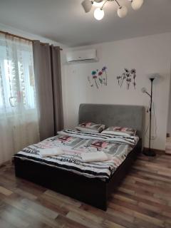 APARTAMENT HD ELI - Hunedoara - 9