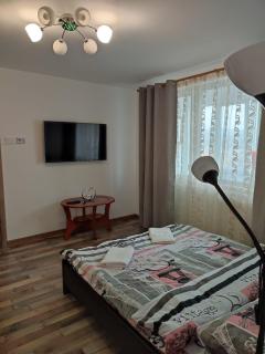 APARTAMENT HD ELI - Hunedoara - 8